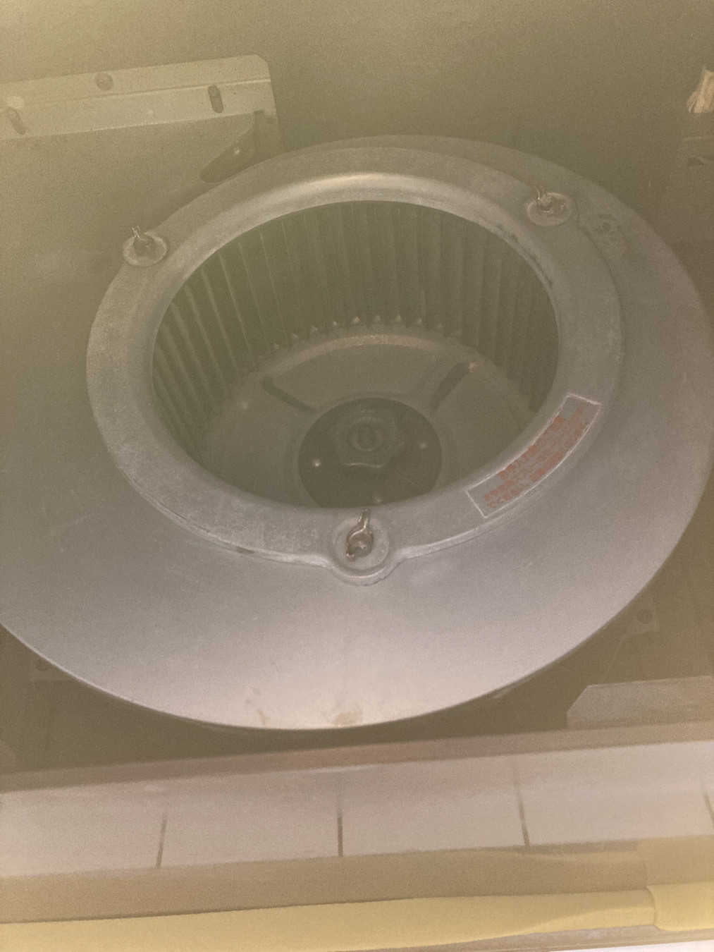 ミキママさんがアップロードした画像