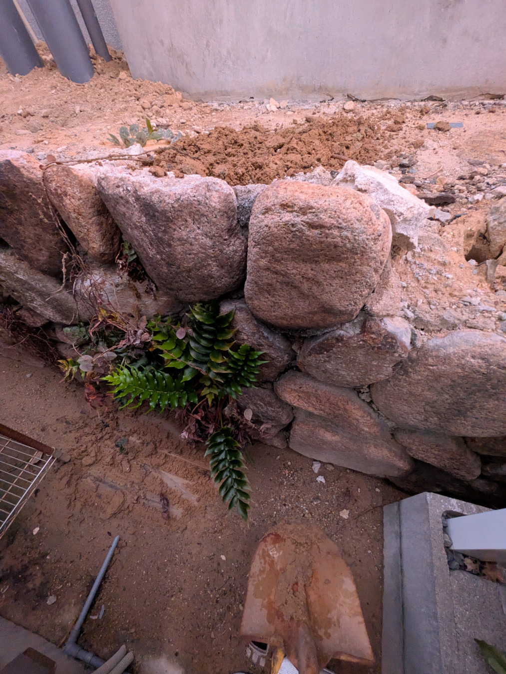 Yさんがアップロードした画像