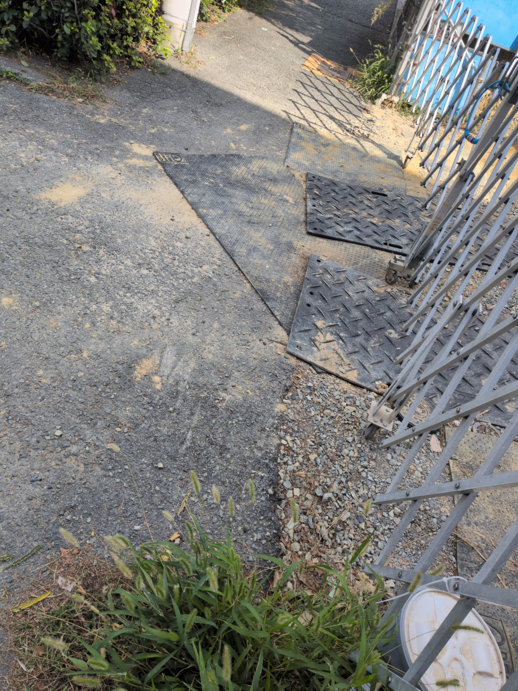 Yさんがアップロードした画像