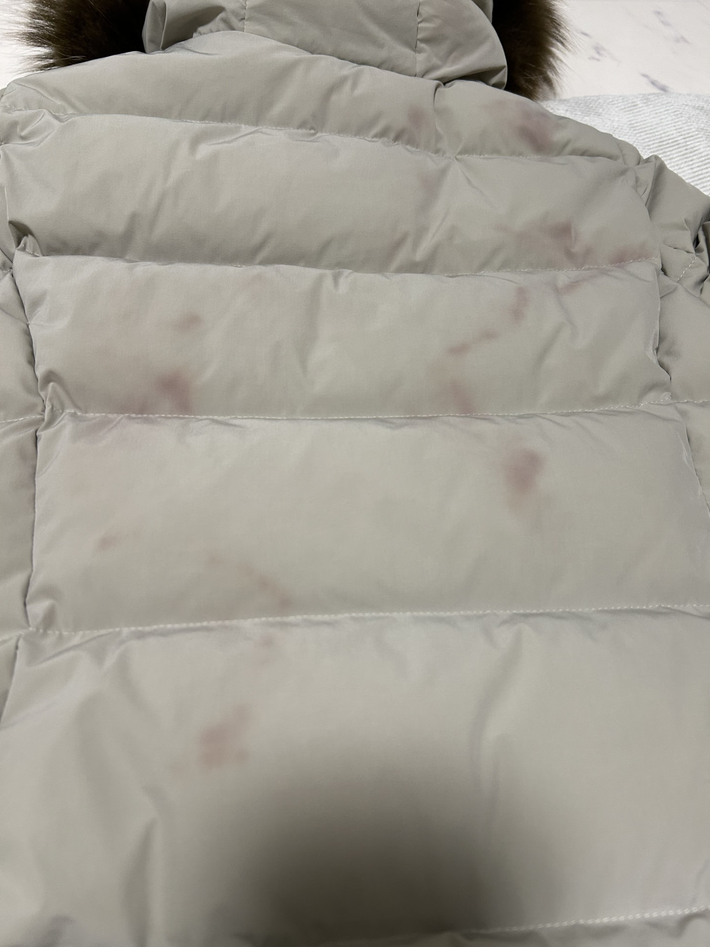 ここさんがアップロードした画像