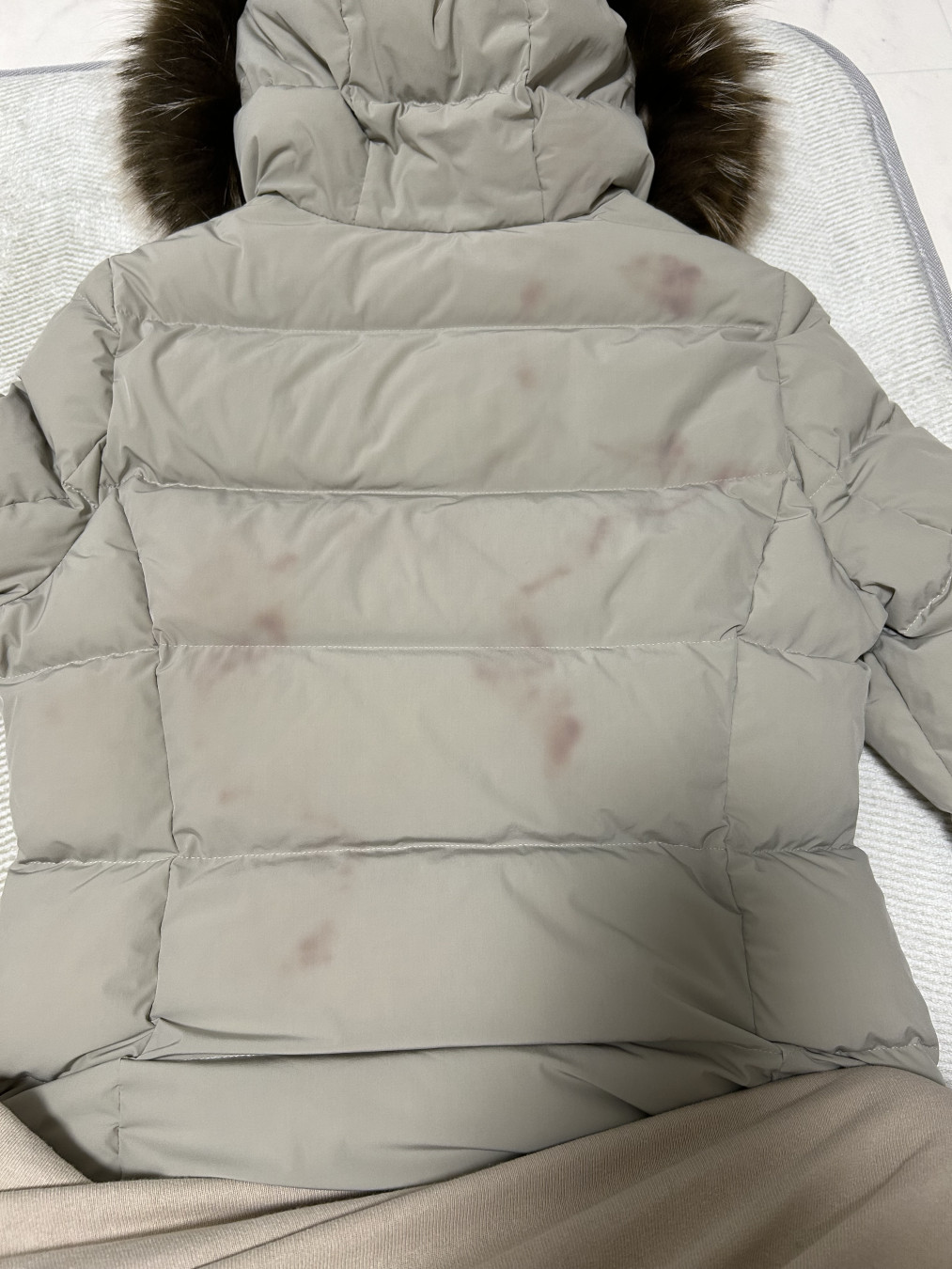 ここさんがアップロードした画像