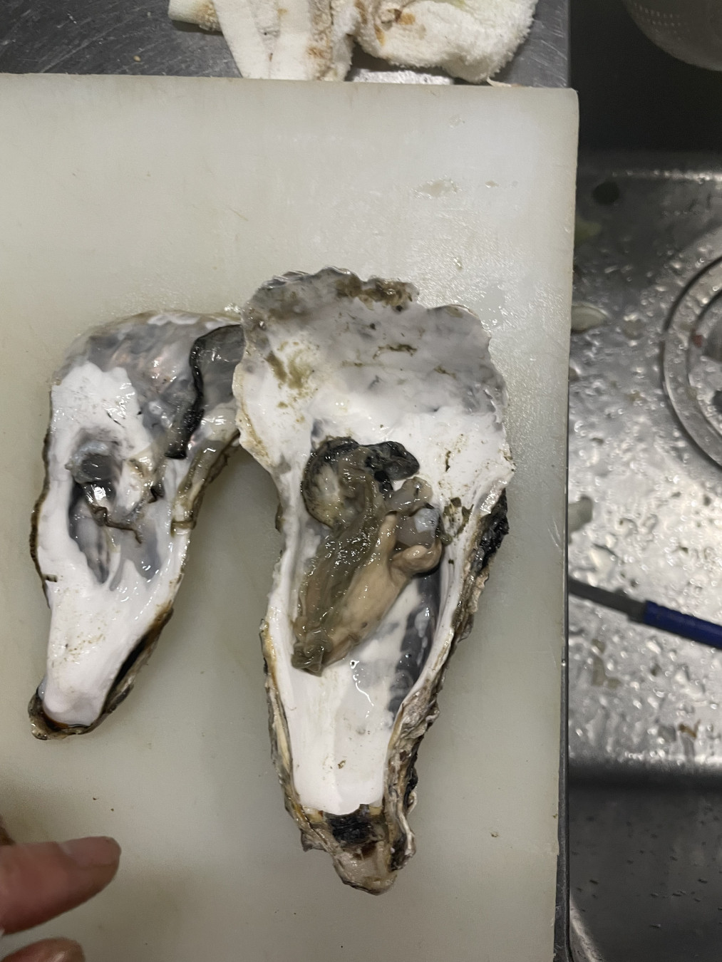 なおさんがアップロードした画像