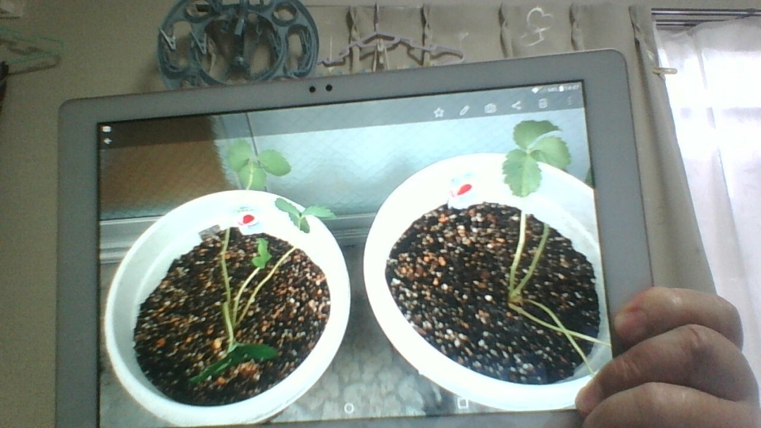 ゆうさんキャットさんがアップロードした画像