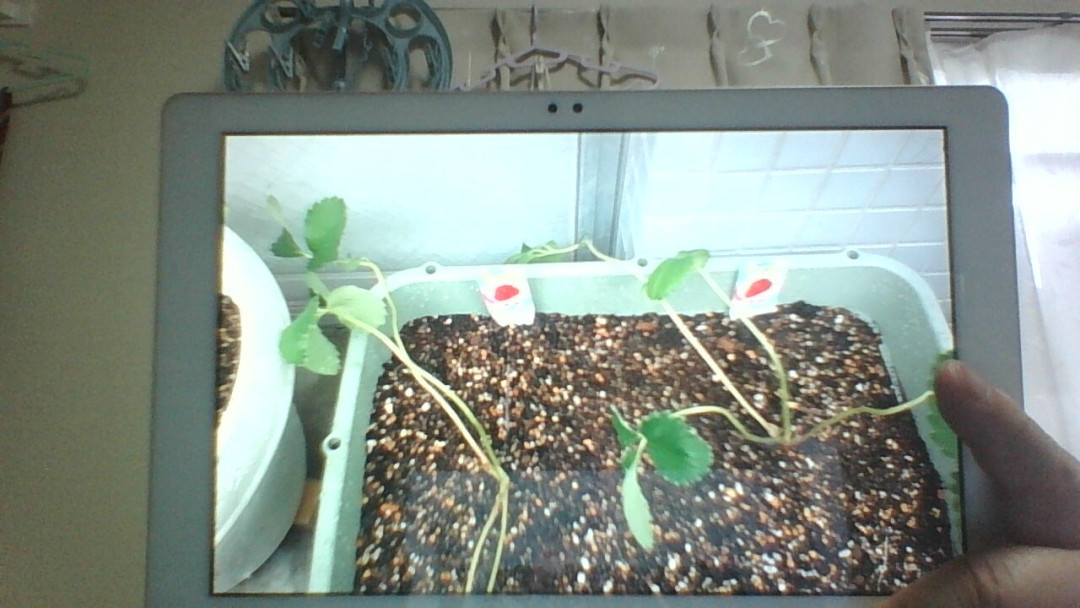 ゆうさんキャットさんがアップロードした画像