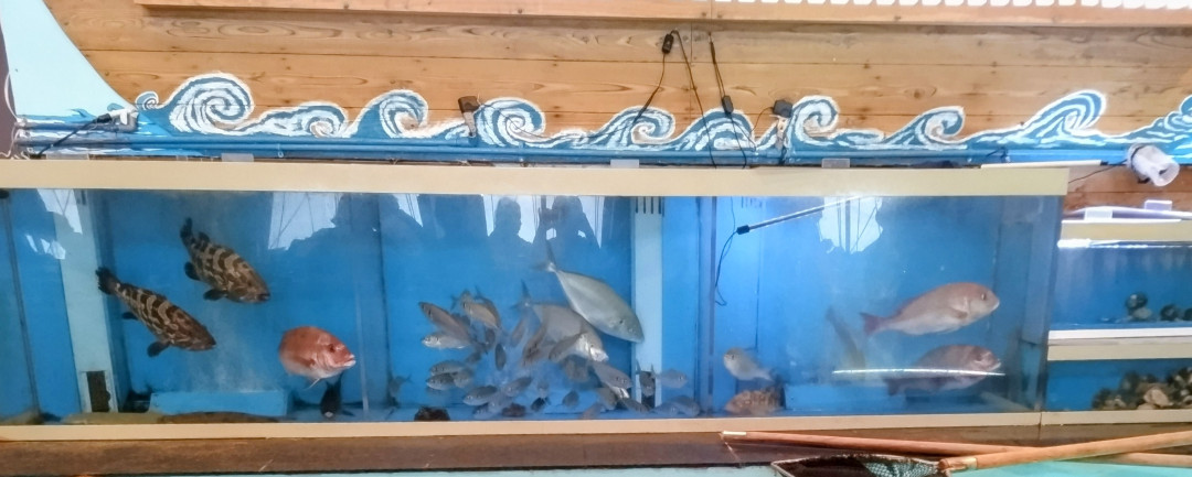 とくめいこさんがアップロードした画像