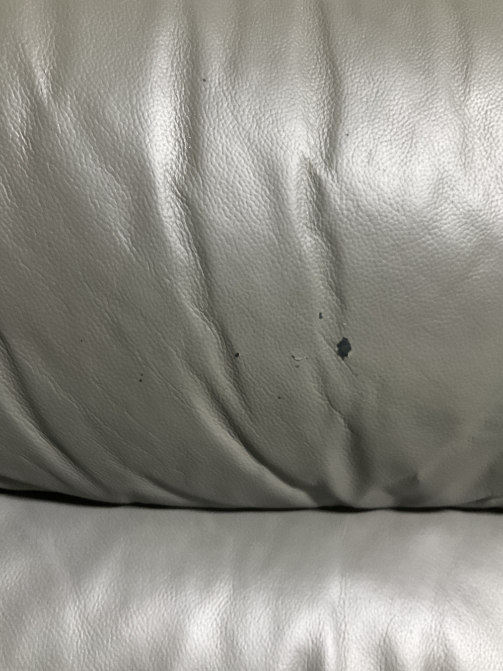 ヨコちゃんさんがアップロードした画像