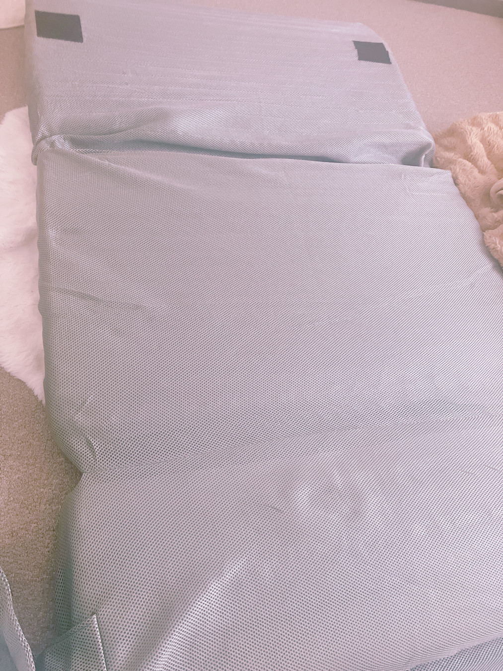 のんさんがアップロードした画像