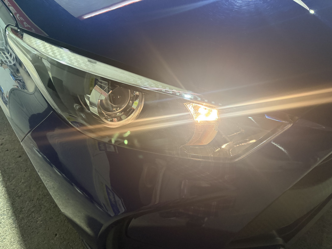 はとさんがアップロードした画像