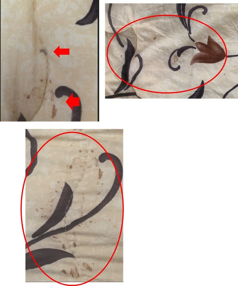 とくめいさんがアップロードした画像