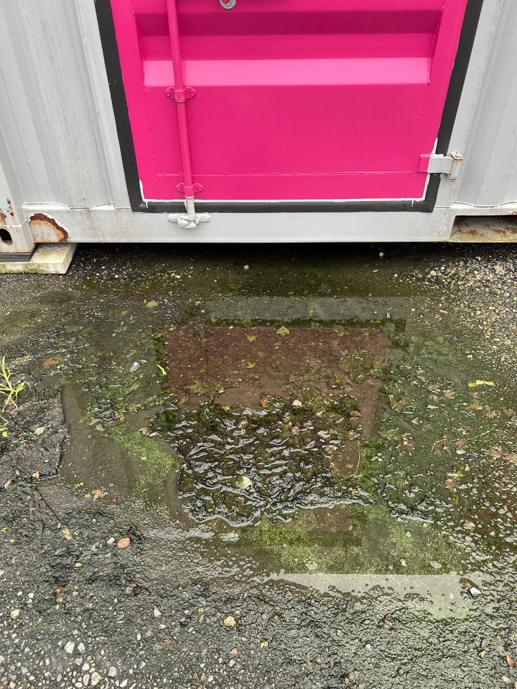 百貫さんがアップロードした画像