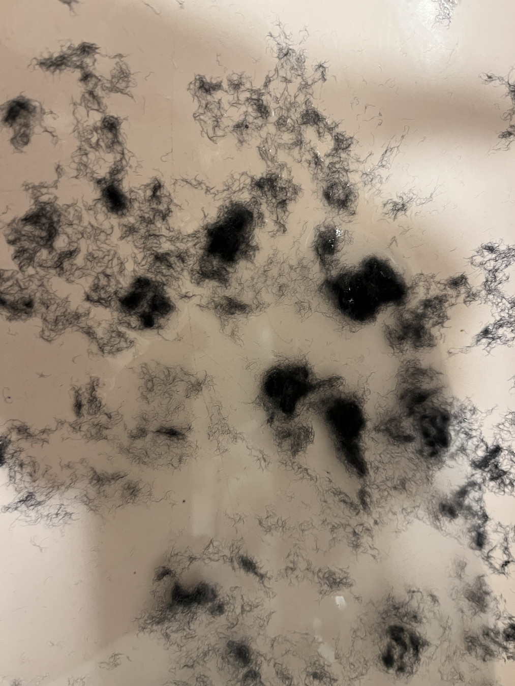 ててさんがアップロードした画像