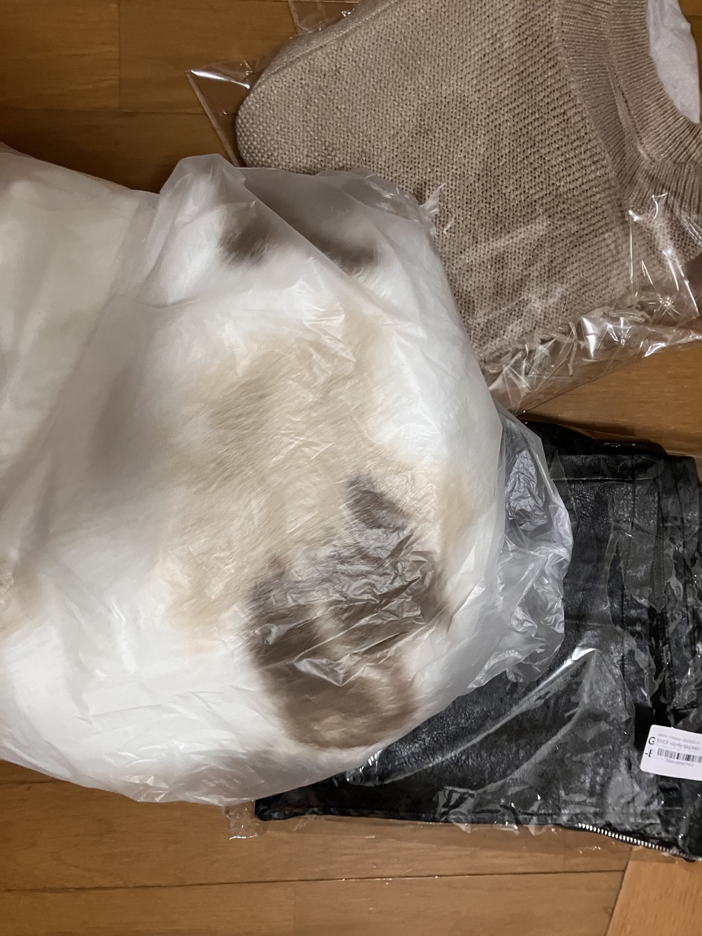 やゆよこさんがアップロードした画像