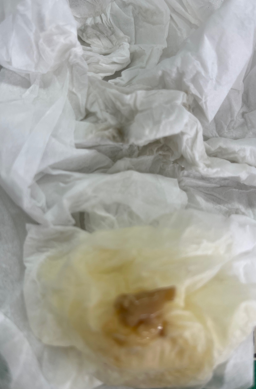 ちぃさんがアップロードした画像