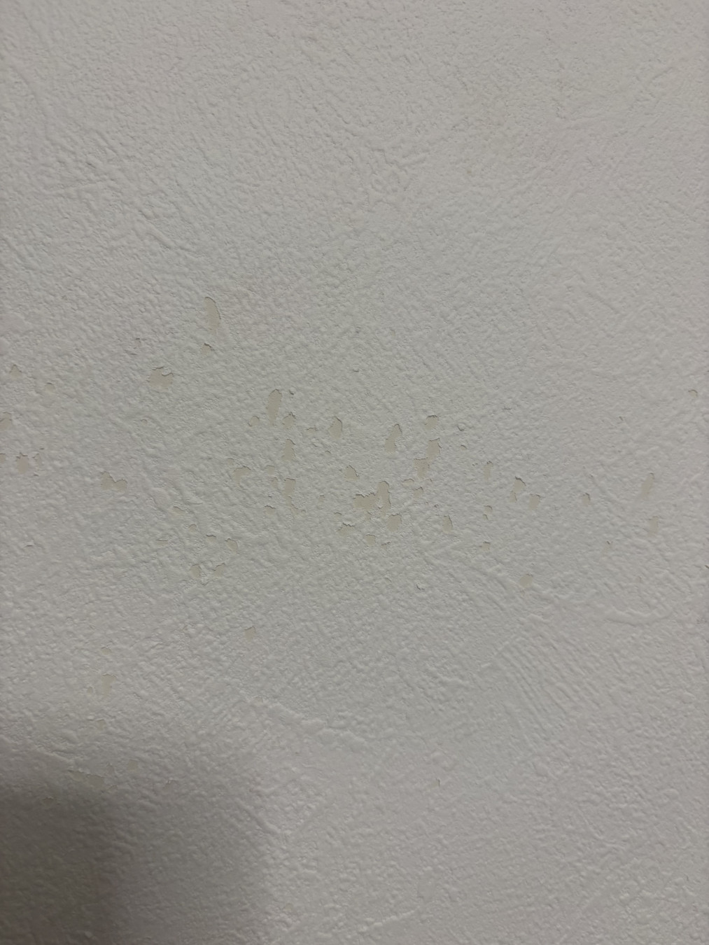 3人の親父さんがアップロードした画像