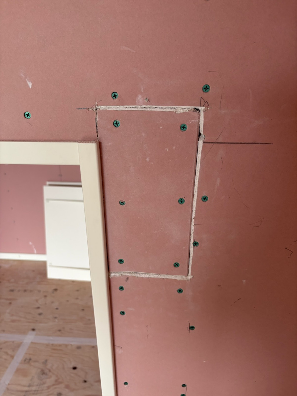 オーナーの父さんがアップロードした画像