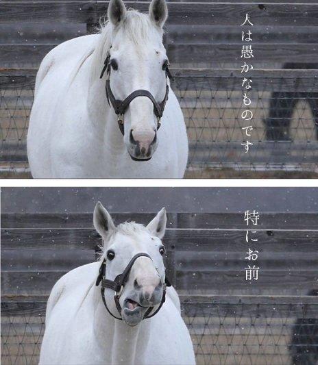 お陰で鬱になりましたさんがアップロードした画像