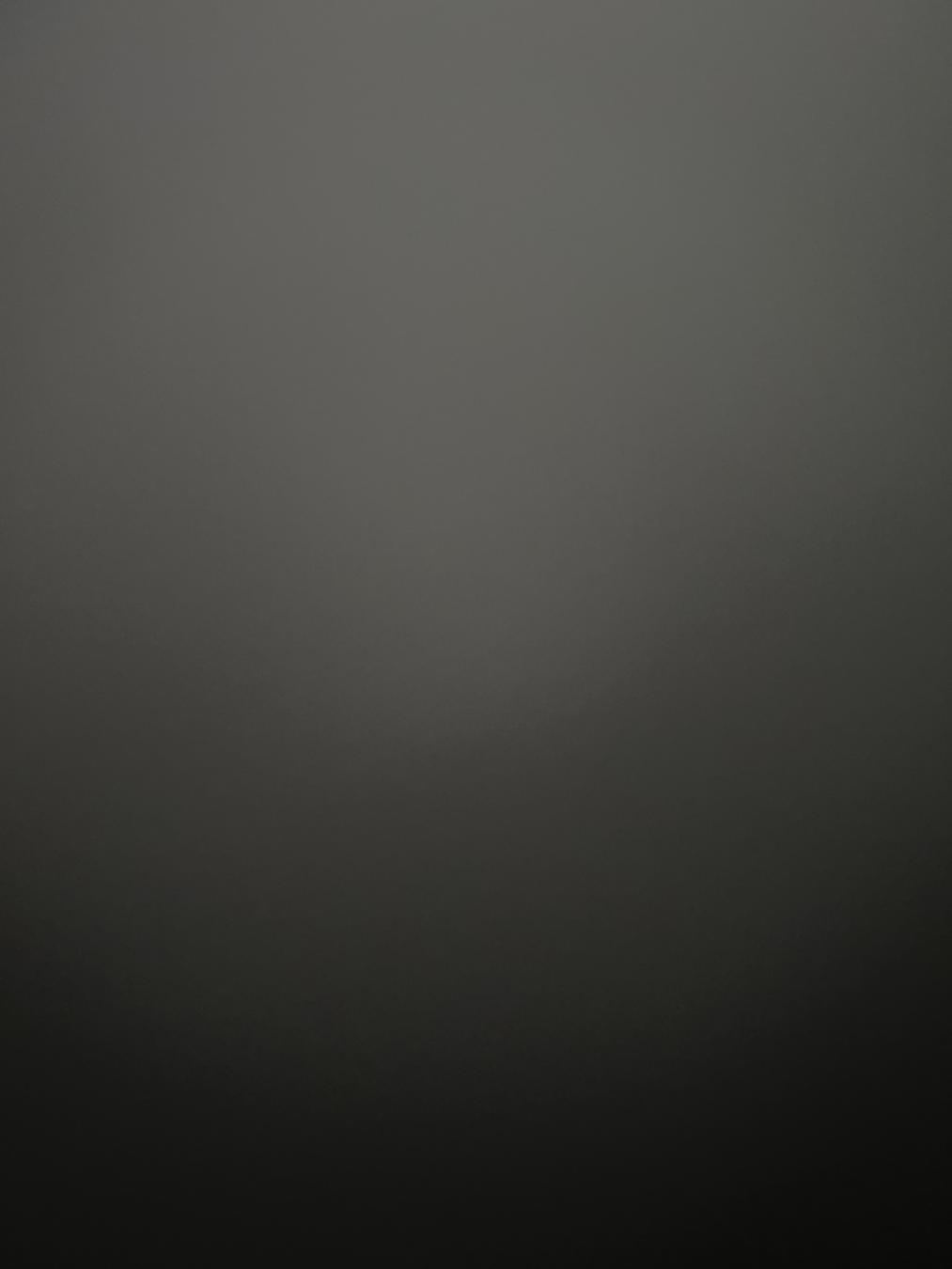 かえさんがアップロードした画像