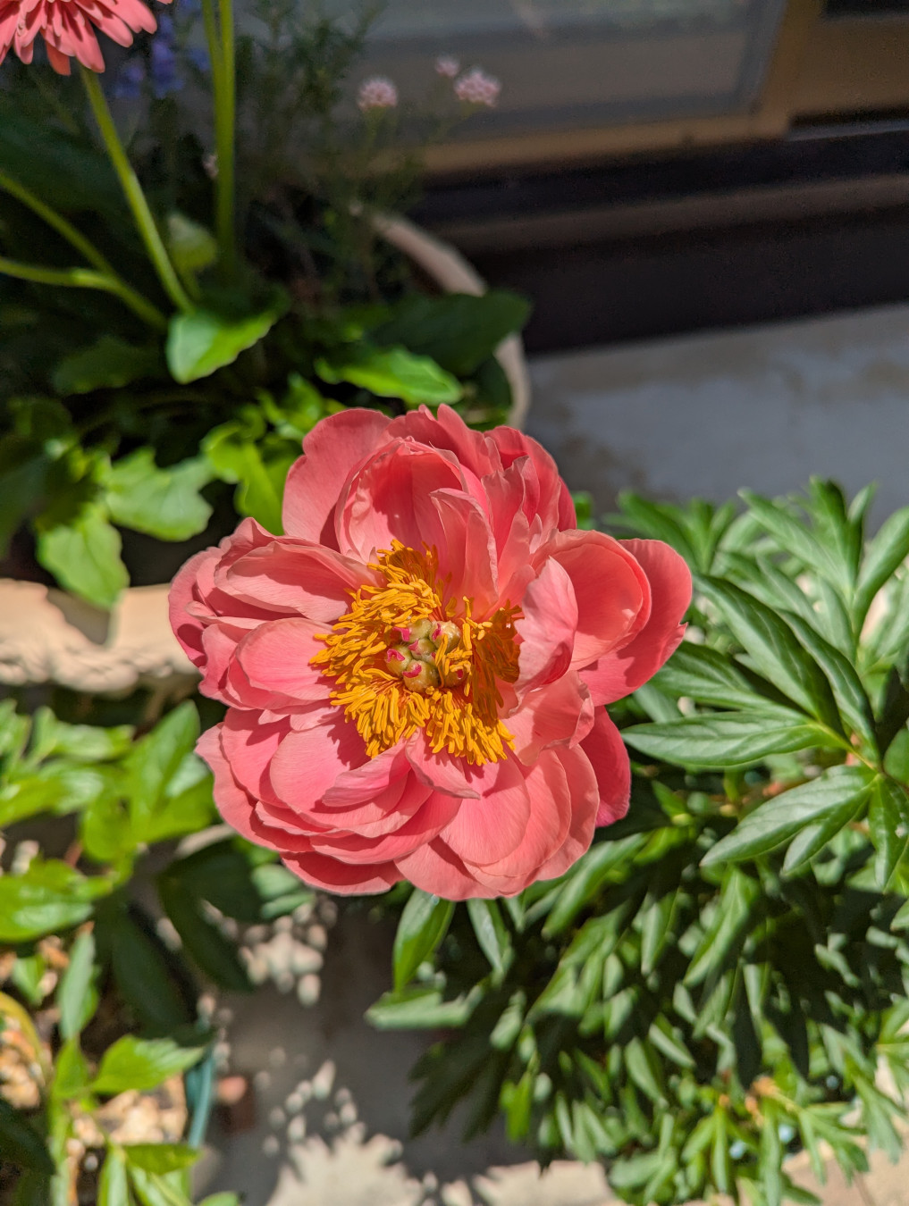 なんだかなぁさんがアップロードしたアバター画像