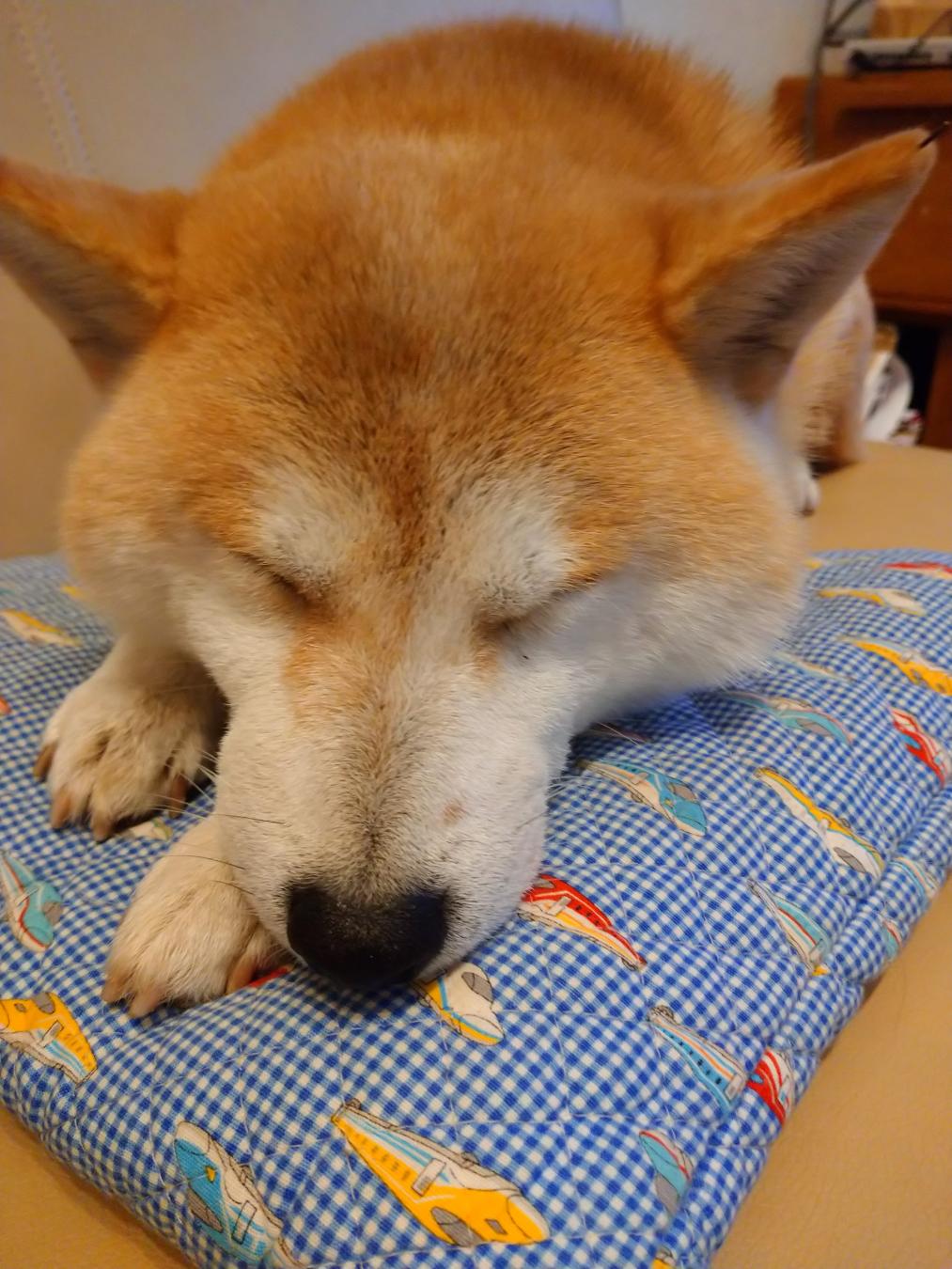 瞬間湯沸器さんがアップロードしたアバター画像